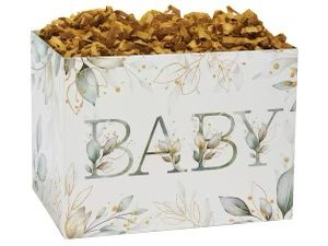 A box of baby cereal is shown.