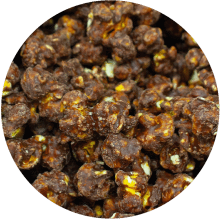 Dark Chocolate Sea Salt